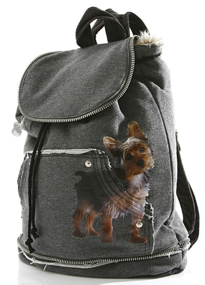 Картинка сумка- рюкзак для девушки от магазина Zooplaneta.shop