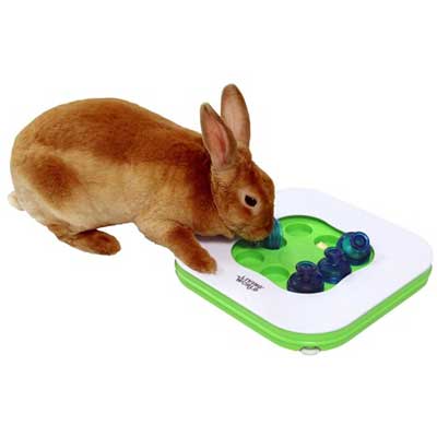 Картинка развивающая игрушка для кроликов от зоомагазина Zooplaneta.shop