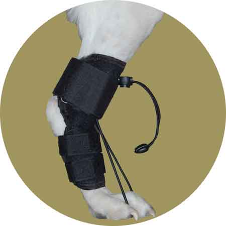 Картинка бандаж-стабилизатор для задних лап для собак от Zooplaneta.shop