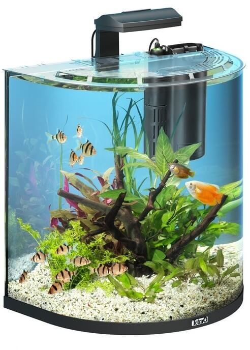 Картинка аквариум для рыбок с оборудованием тетра aqua art tropical 60 л от магазина Zooplaneta.shop