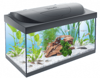 Tetra Starter Line LED аквариум для начинающих 54л.