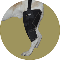 Ортопедический бандаж для собаки на левое колено Вет М. Размер M