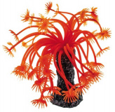 Мягкий коралл для аквариума красный