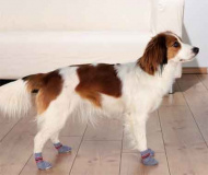Носки защитные для собаки