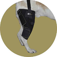 Бандаж на правое колено для собаки Вет М. Размер XXL(1)