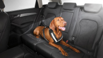 Audi шлейка безопасности в автомобиль для собаки