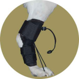 Бандаж-стабилизатор для задних лап для собак