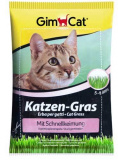 Домашняя трава для кошек