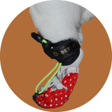 Носок-стабилизатор для собак маленьких пород для задних лап