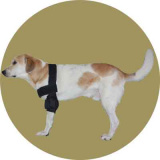Плечевой бандаж для собак