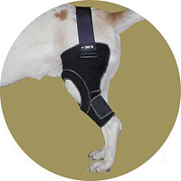 Фиксатор коленного сустава для собак левый Вет М. Размер XXL(1)